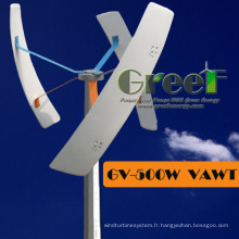 Petite éolienne verticale du système 0.3kw hors-réseau pour des ventes